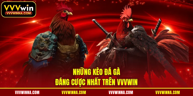 Những kèo đá gà đáng cược nhất trên VVVWIN